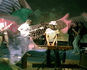 die or fly live